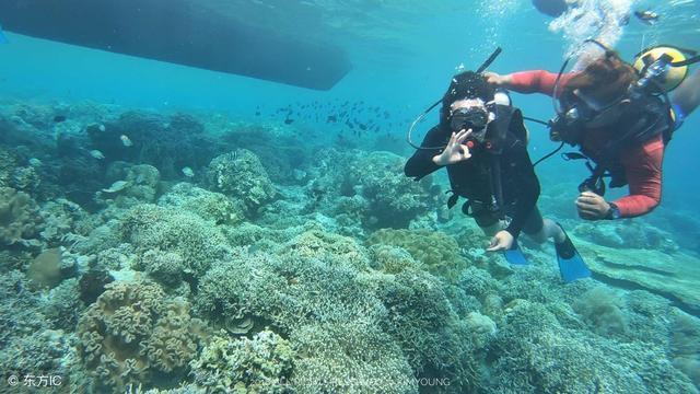 湘乡经开区：定制公交车解决企业员工通勤难题